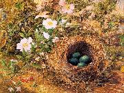 Hill, John William Bird's Nest and Dogroses oil on canvas